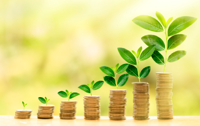 Kinsella Group: To Grow or Not to Grow